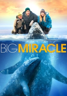 Big Miracle (2012) full Movie Download Free in Dual Audio HD