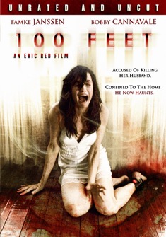 100 Feet (2008) full Movie Download Free in Dual Audio HD